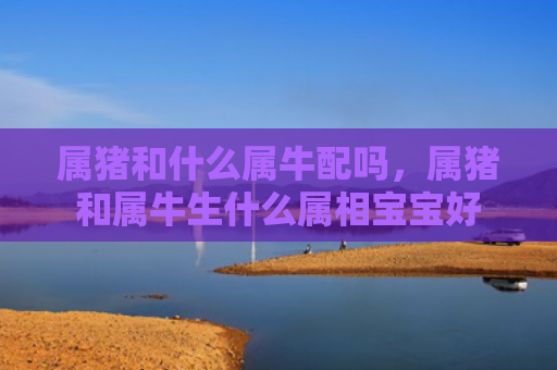 属猪和什么属牛配吗，属猪和属牛生什么属相宝宝好