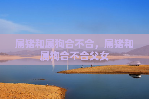 属猪和属狗合不合，属猪和属狗合不合父女