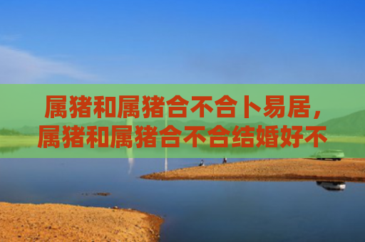 属猪和属猪合不合卜易居，属猪和属猪合不合结婚好不好