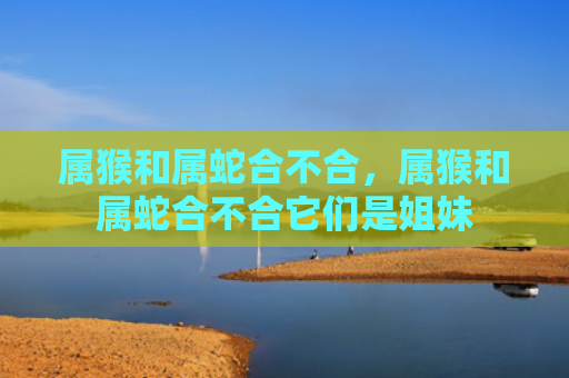 属猴和属蛇合不合，属猴和属蛇合不合它们是姐妹