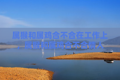 属猴和属鸡合不合在工作上，属猴和属鸡合不合情人