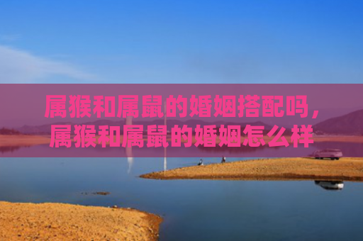 属猴和属鼠的婚姻搭配吗，属猴和属鼠的婚姻怎么样