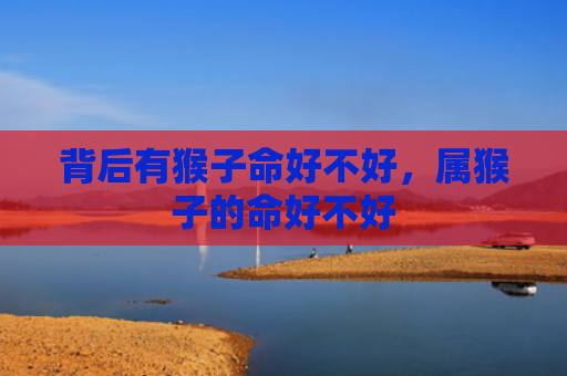 背后有猴子命好不好，属猴子的命好不好