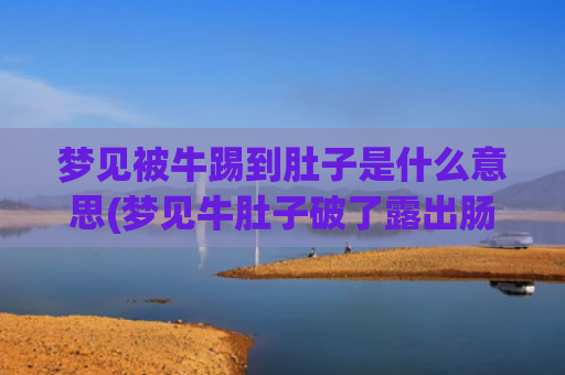 梦见被牛踢到肚子是什么意思(梦见牛肚子破了露出肠子)