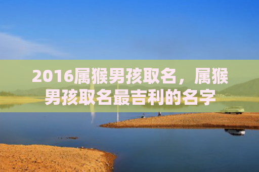2016属猴男孩取名，属猴男孩取名最吉利的名字