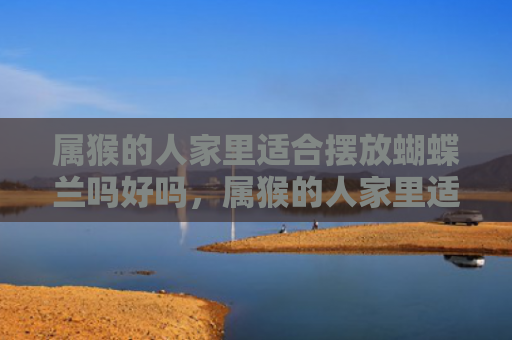 属猴的人家里适合摆放蝴蝶兰吗好吗，属猴的人家里适合摆什么