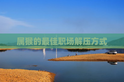 属猴的最佳职场解压方式