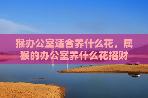 猴办公室适合养什么花，属猴的办公室养什么花招财