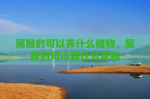 属猴的可以养什么植物，属猴的可以养什么宠物