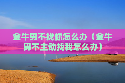 金牛男不找你怎么办(金牛男不主动找我怎么办) 金牛男不找你怎么办(金牛男不主动找我怎么办)