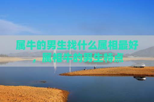属牛的男生找什么属相最好，属相牛的男生特点