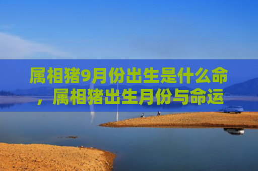 属相猪9月份出生是什么命，属相猪出生月份与命运