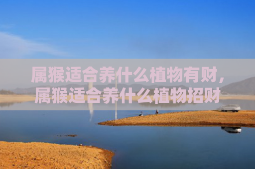 属猴适合养什么植物有财，属猴适合养什么植物招财