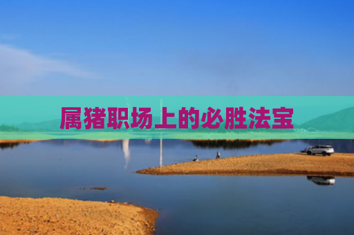 属猪职场上的必胜法宝