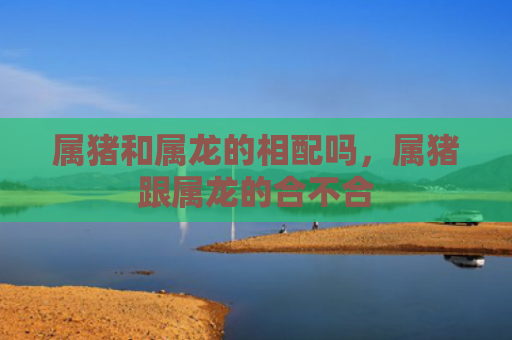 属猪和属龙的相配吗，属猪跟属龙的合不合
