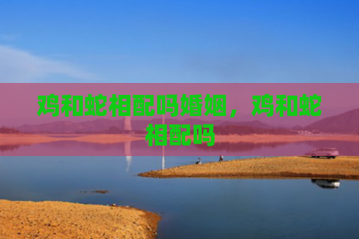 鸡和蛇相配吗婚姻，鸡和蛇相配吗