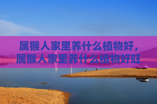 属猴人家里养什么植物好，属猴人家里养什么植物好旺财