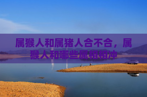属猴人和属猪人合不合，属猴人和哪些属相相冲