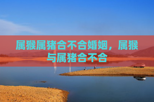 属猴属猪合不合婚姻，属猴与属猪合不合