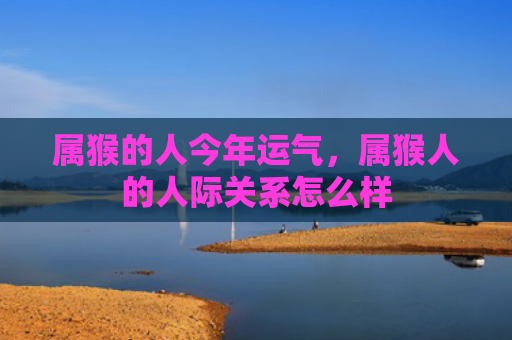 属猴的人今年运气，属猴人的人际关系怎么样