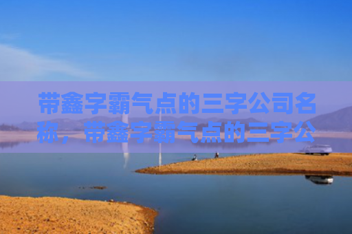 带鑫字霸气点的三字公司名称，带鑫字霸气点的三字公司名称