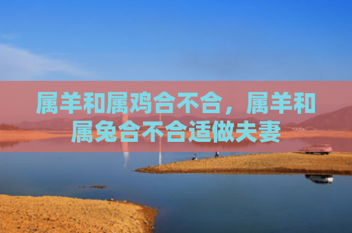 属羊和属鸡合不合，属羊和属兔合不合适做夫妻