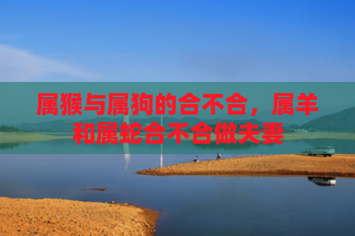 属猴与属狗的合不合，属羊和属蛇合不合做夫妻