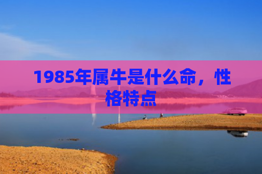 1985年属牛是什么命，性格特点