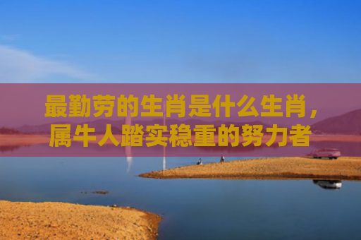 最勤劳的生肖是什么生肖，属牛人踏实稳重的努力者