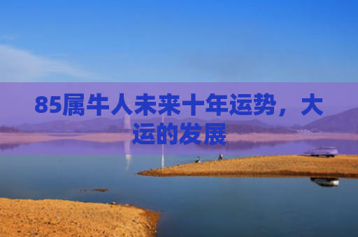 85属牛人未来十年运势，大运的发展