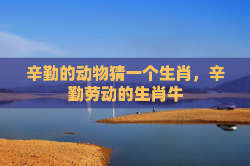辛勤的动物猜一个生肖，辛勤劳动的生肖牛