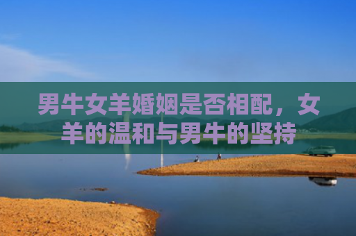 男牛女羊婚姻是否相配，女羊的温和与男牛的坚持