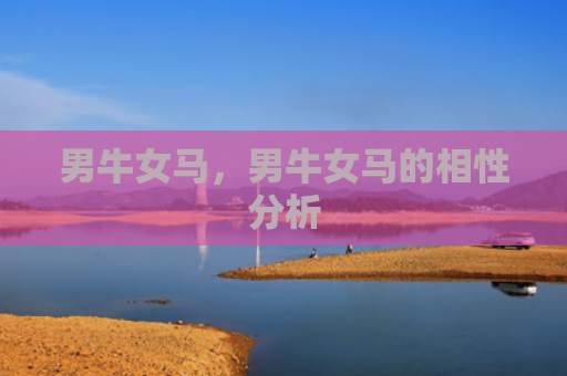 男牛女马，男牛女马的相性分析