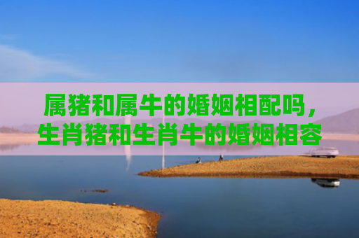 属猪和属牛的婚姻相配吗，生肖猪和生肖牛的婚姻相容性