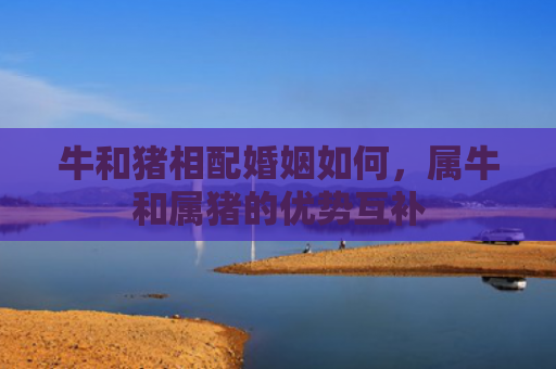 牛和猪相配婚姻如何，属牛和属猪的优势互补