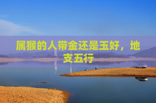 属猴的人带金还是玉好，地支五行