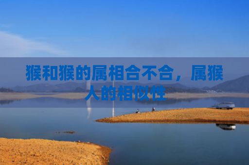 猴和猴的属相合不合，属猴人的相似性