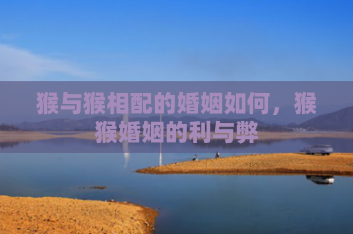 猴与猴相配的婚姻如何，猴猴婚姻的利与弊