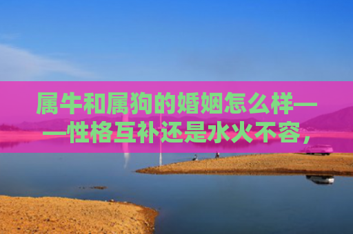 属牛和属狗的婚姻怎么样——性格互补还是水火不容，属狗人和属牛人的性格特点