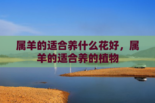 属羊的适合养什么花好，属羊的适合养的植物