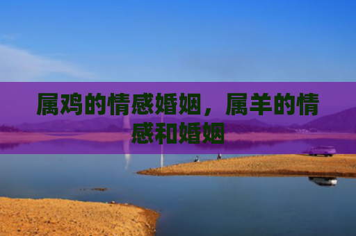 属鸡的情感婚姻，属羊的情感和婚姻