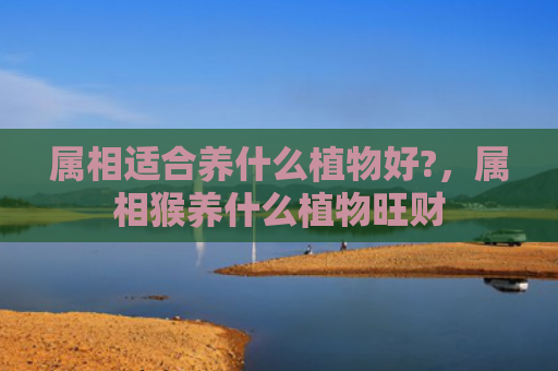 属相适合养什么植物好?，属相猴养什么植物旺财