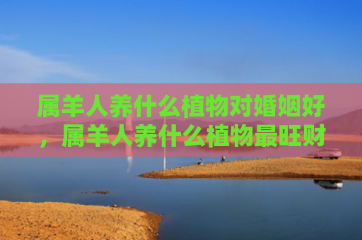 属羊人养什么植物对婚姻好，属羊人养什么植物最旺财