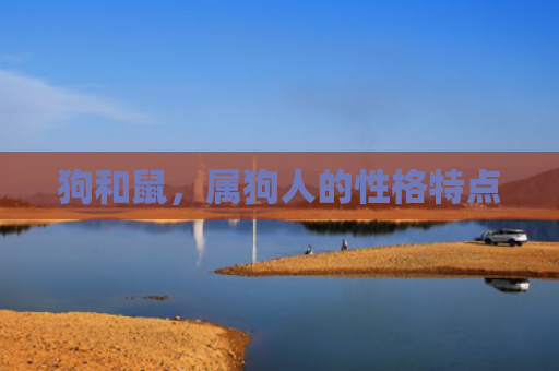 狗和鼠，属狗人的性格特点