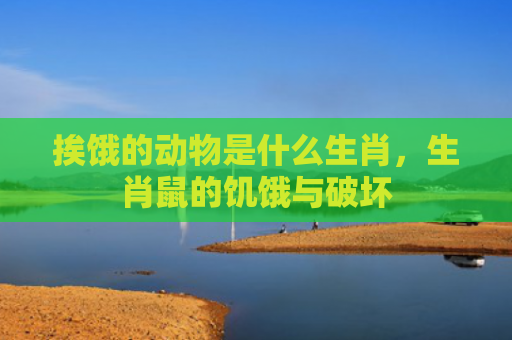 挨饿的动物是什么生肖，生肖鼠的饥饿与破坏