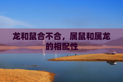 龙和鼠合不合，属鼠和属龙的相配性