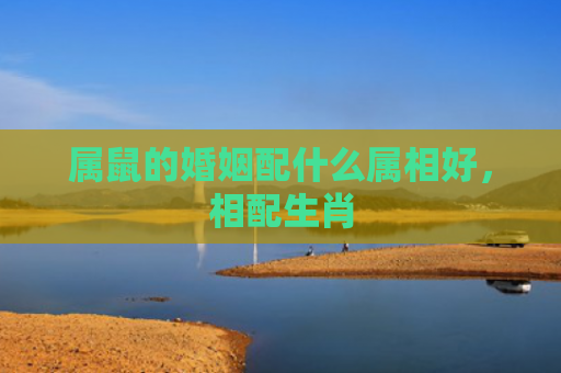 属鼠的婚姻配什么属相好，相配生肖