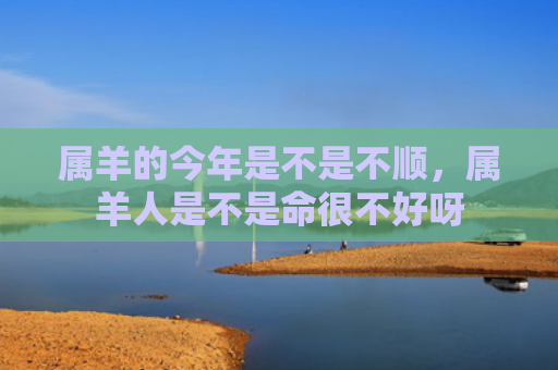 属羊的今年是不是不顺，属羊人是不是命很不好呀
