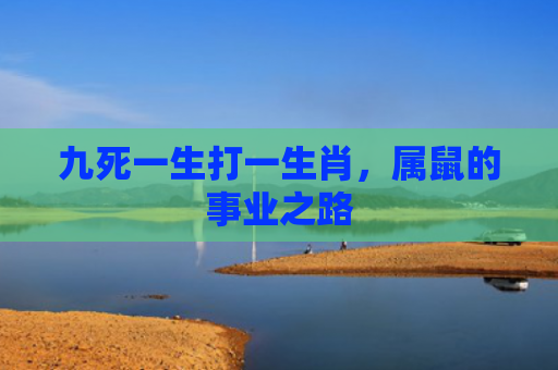 九死一生打一生肖，属鼠的事业之路