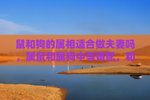 鼠和狗的属相适合做夫妻吗，属鼠和属狗中等婚配，和睦相处